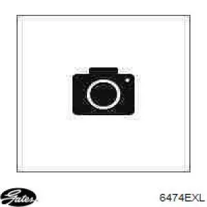 6474EXL Gates Correa poly v