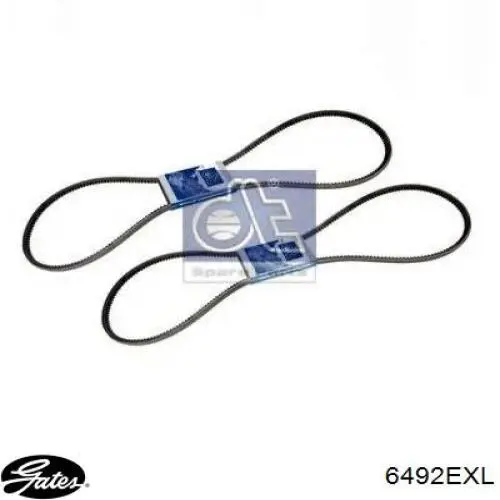 13A1550GL Dayco Correa poly v