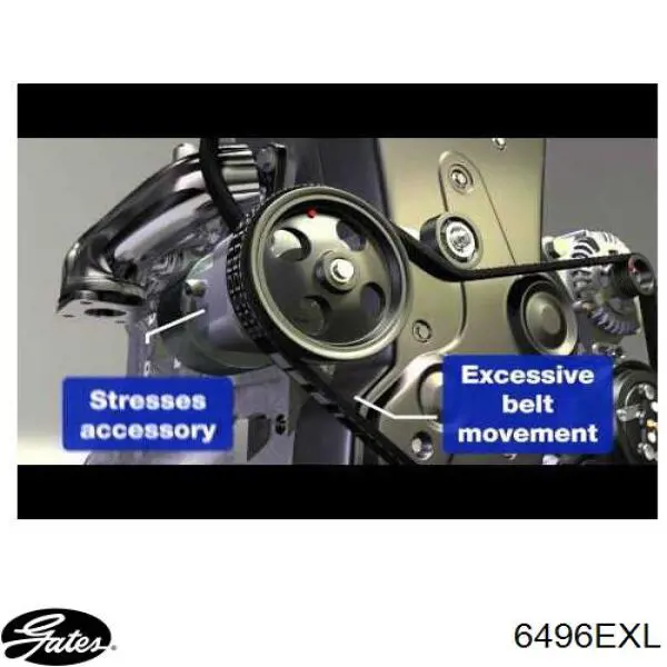 6496EXL Gates Correa poly v