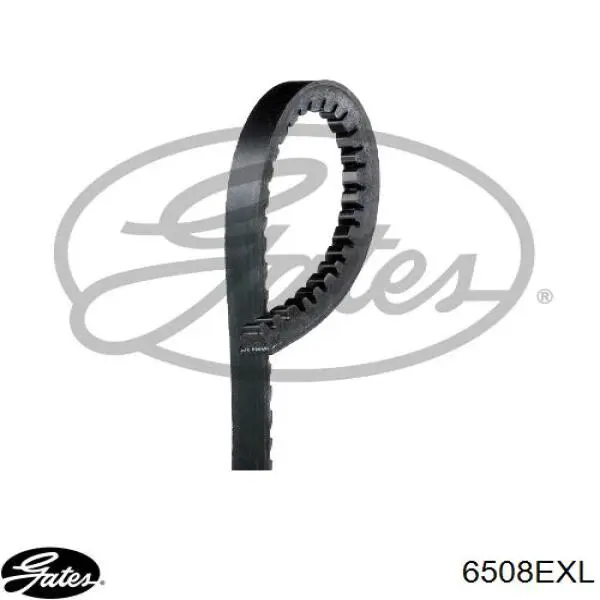 Correa de transmisión trapezoidal Gates 6508EXL precio, desde 27,95 EUR