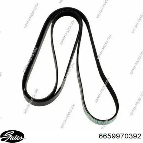 Correa de alternador A008997709264 Mercedes