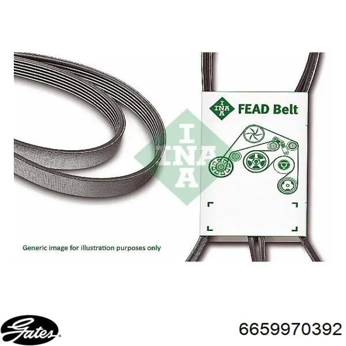 Correa accesorios Mercedes A008997709264