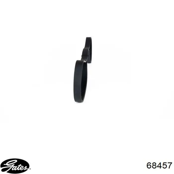 Correa de transmisión trapezoidal Honda 38920RCAA01 precio, desde 29,02 EUR