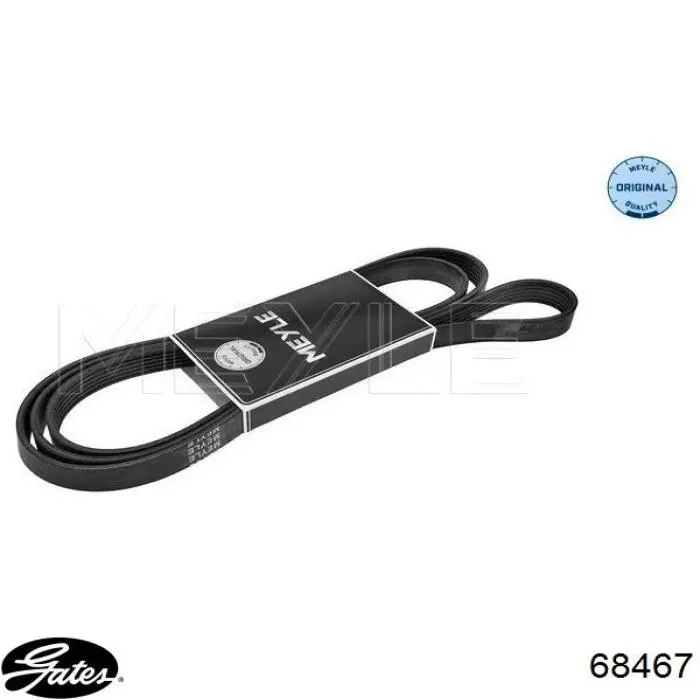 Comprar 68467 Gates Correa trapezoidal