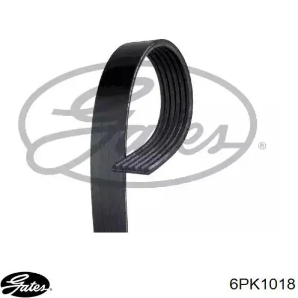 Correa de transmisión trapezoidal Gates 6PK1018 precio, desde 13,89 EUR