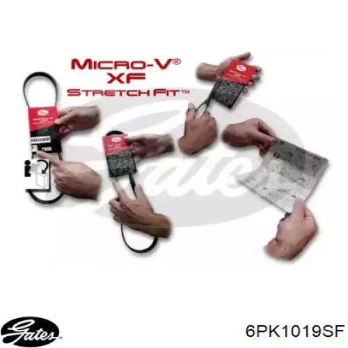 Correa de alternador 6PK1019SF Gates