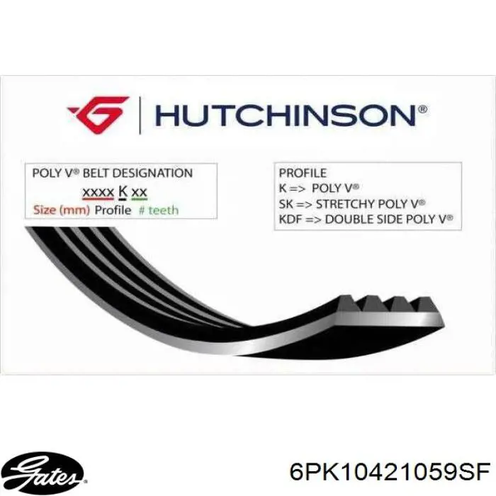Correa de alternador 2115144 Ford