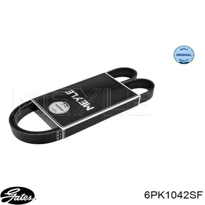 Correa de transmisión trapezoidal Ford 1S4E6C301AC precio, desde 30,27 EUR