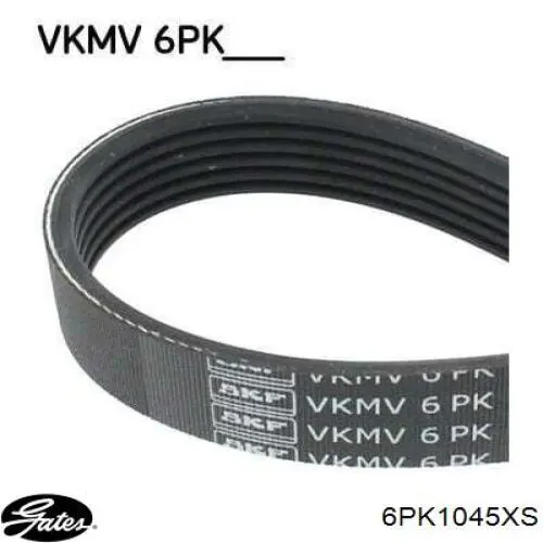 028903137BB VAG Correa poly v