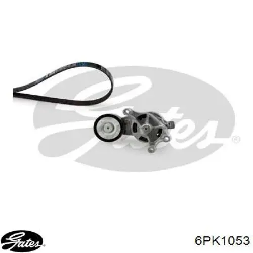 6PK1053 Gates Correa poly v