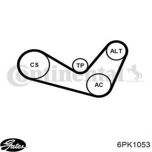 Correa de alternador 6PK1053 Gates