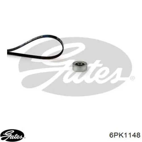 Correa de alternador PVB115506 Open Parts