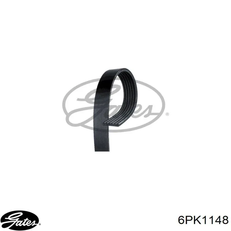 6PK1148 Gates Correa poly v
