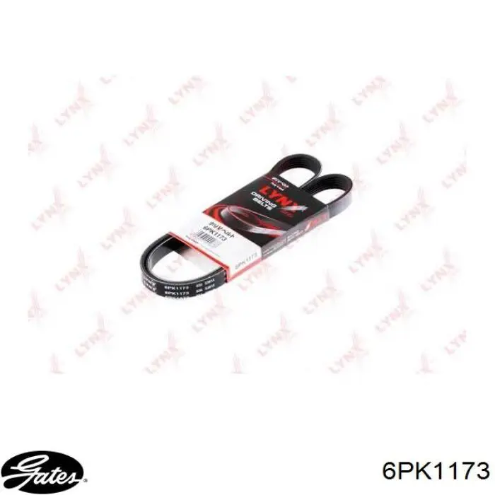 Comprar 6PK1173 Gates Correa trapezoidal