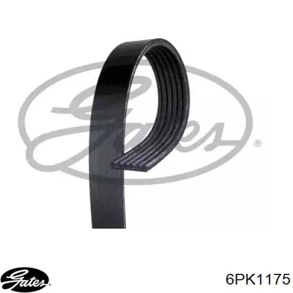 Correa de transmisión trapezoidal Gates 6PK1175 precio, desde 17,68 EUR