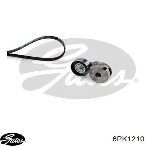 Correa de alternador 8200833563 Renault (RVI)