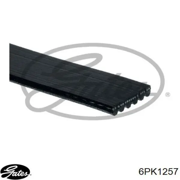 6PK1257 Gates correa trapezoidal