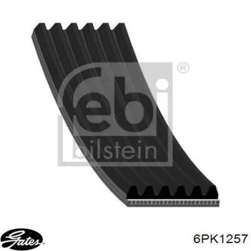6PK1257 Gates Correa poly v