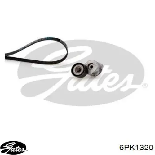 Correa de alternador 55202621 Ford