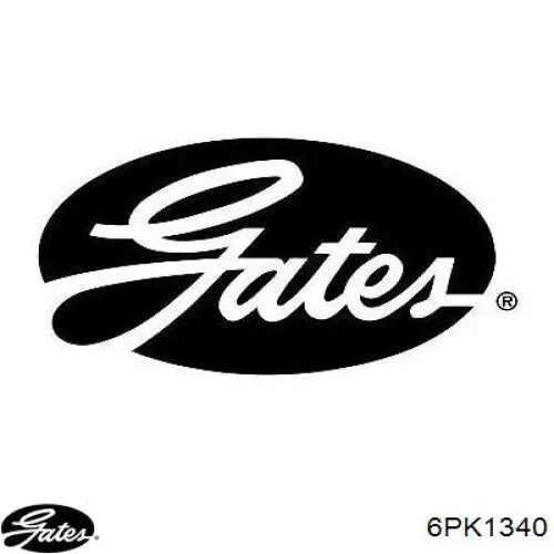 Correa accesorios Ford GK2Q6C301BB