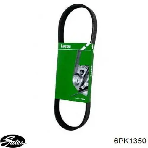 2751835 Ford Correa poly v