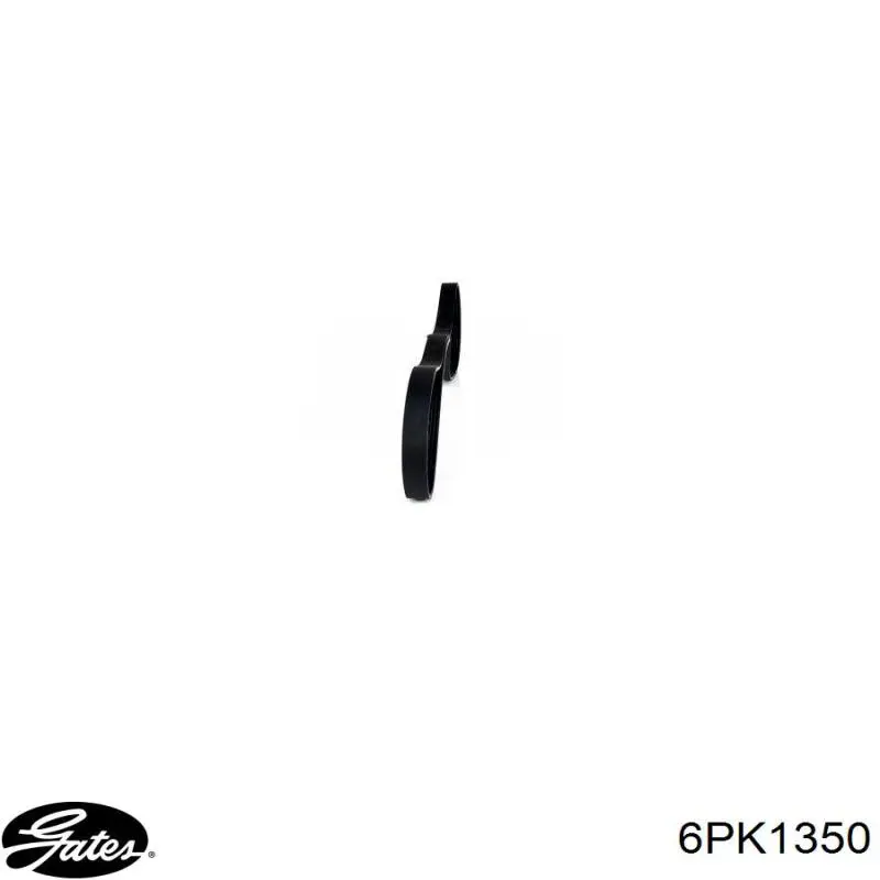 Correa accesorios Ford 2751835