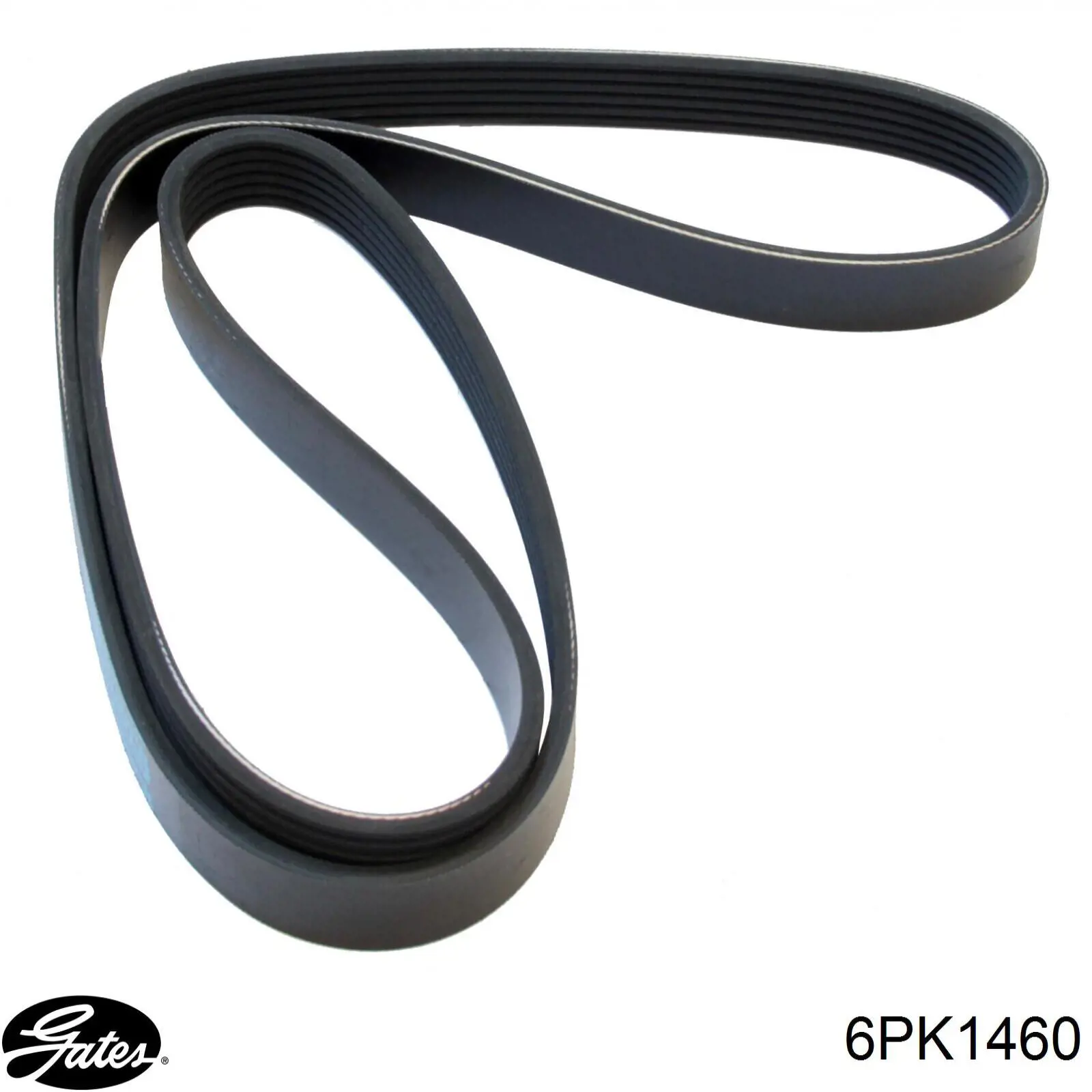 Correa accesorios Land Rover PQS100851