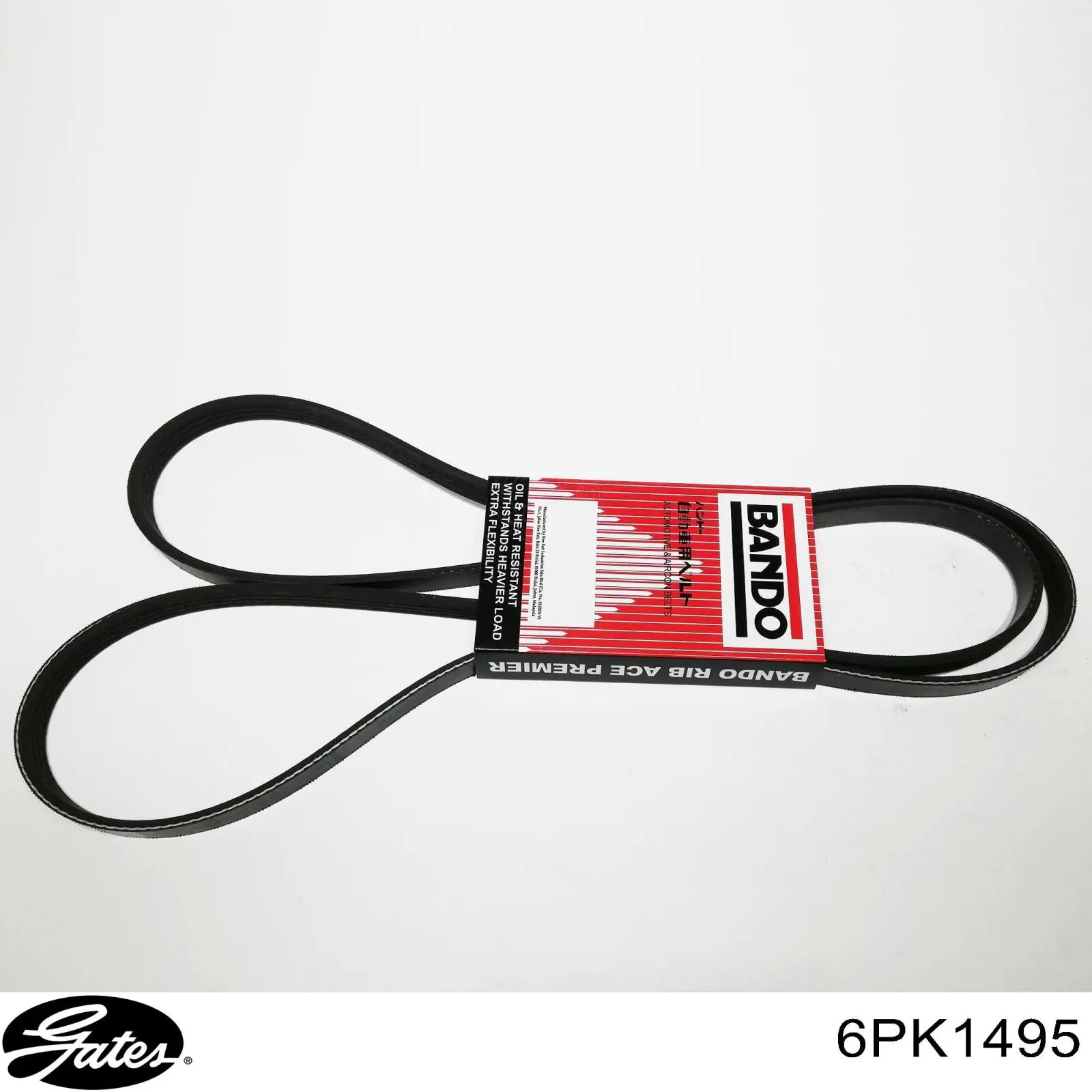 Correa de transmisión trapezoidal Ford CM5Z8620G precio, desde 15,78 EUR