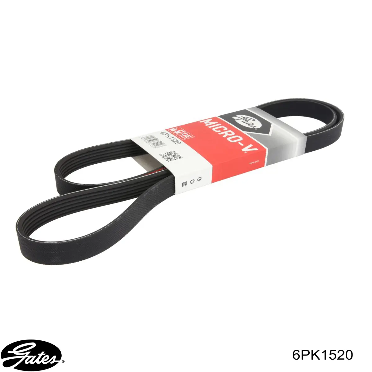 Correa accesorios Ford 4M5Q6C301GB