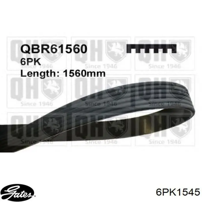 Comprar 6PK1545 Gates Correa trapezoidal