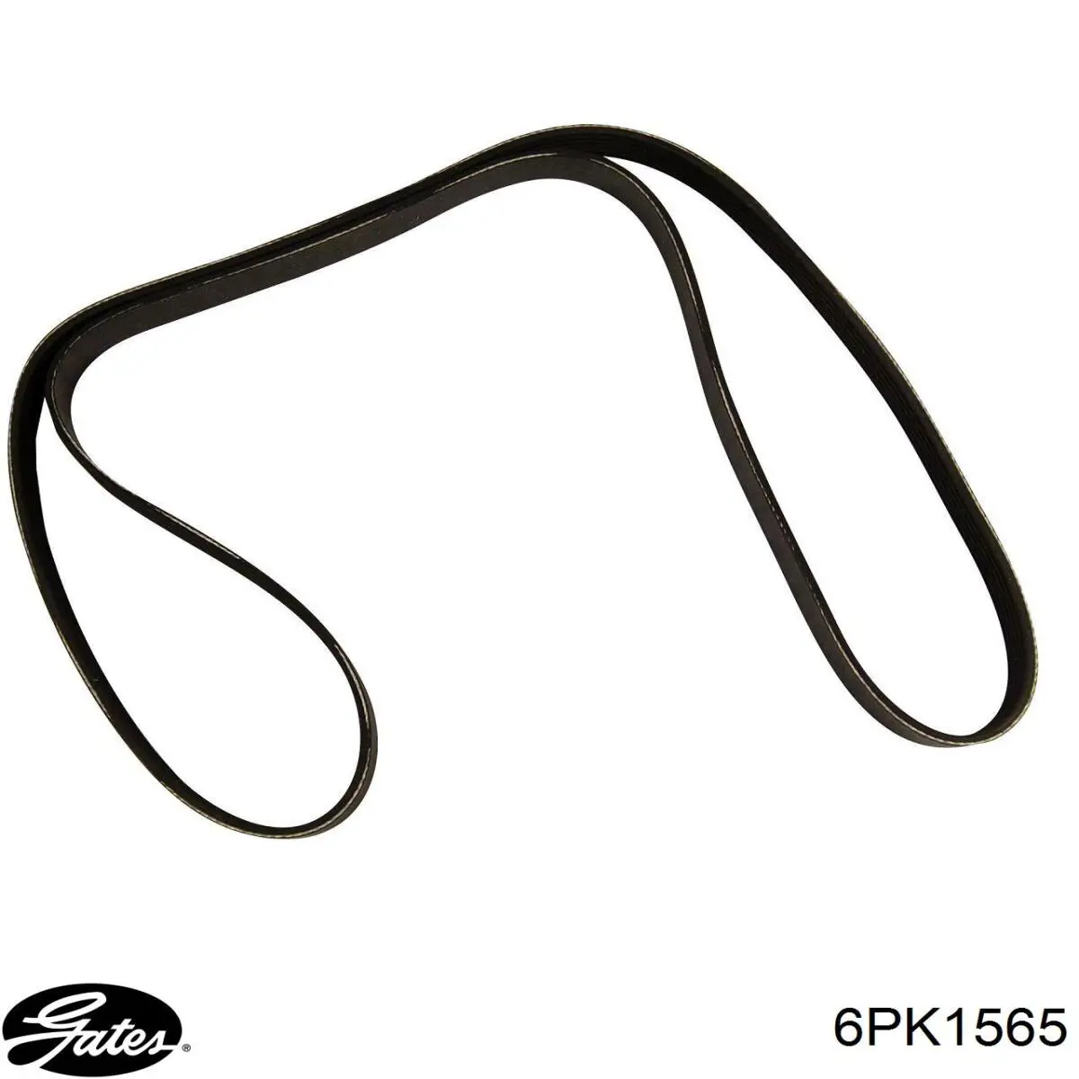 Correa accesorios Peugeot/Citroen 5750Z2