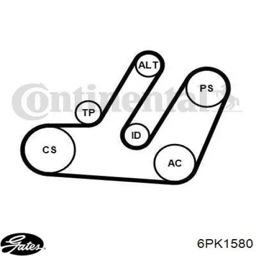 PVB158006 Open Parts Correa poly v