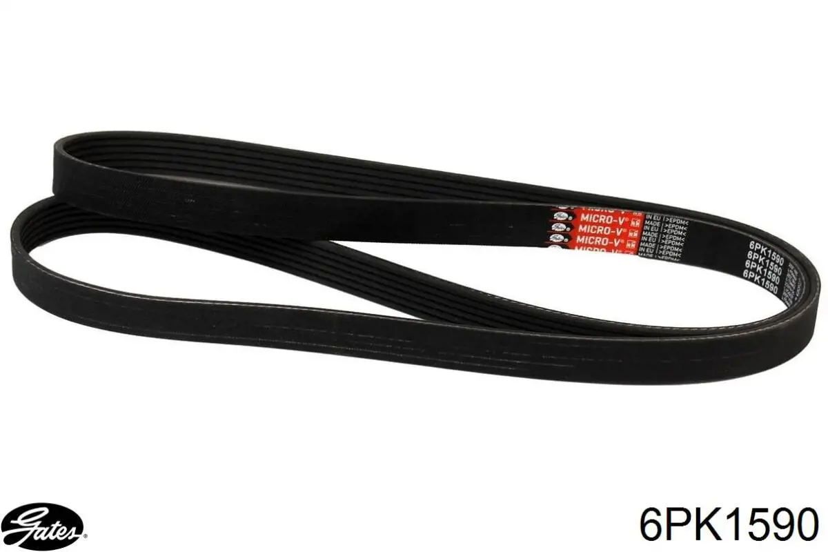 6PK1590 Gates Correa poly v