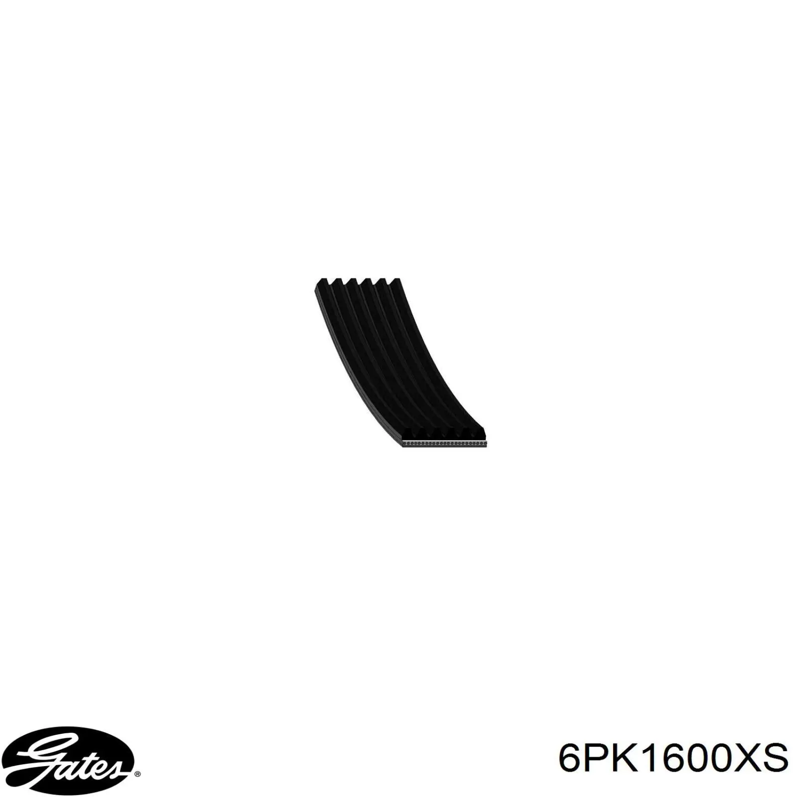5750S9 Peugeot/Citroen Correa poly v