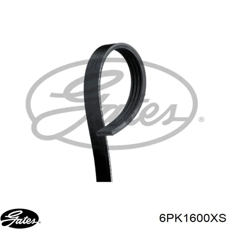 Correa de transmisión trapezoidal Peugeot/Citroen 5750S9 precio, desde 15,85 EUR