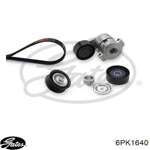 Correa de alternador 2012212 Ford
