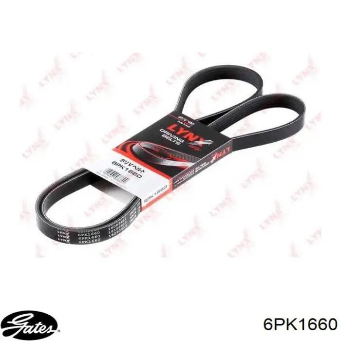Correa de transmisión trapezoidal Peugeot/Citroen 5750M2 precio, desde 15,21 EUR
