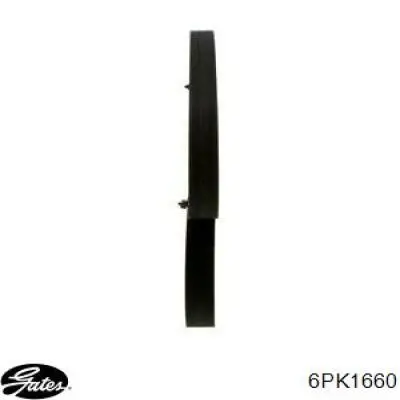 Comprar 5750M2 Peugeot/Citroen Correa trapezoidal