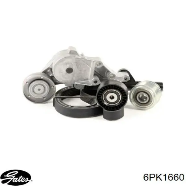 5750M2 Peugeot/Citroen Correa poly v