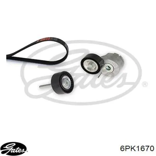 Correa accesorios Fiat/Alfa/Lancia 55218886