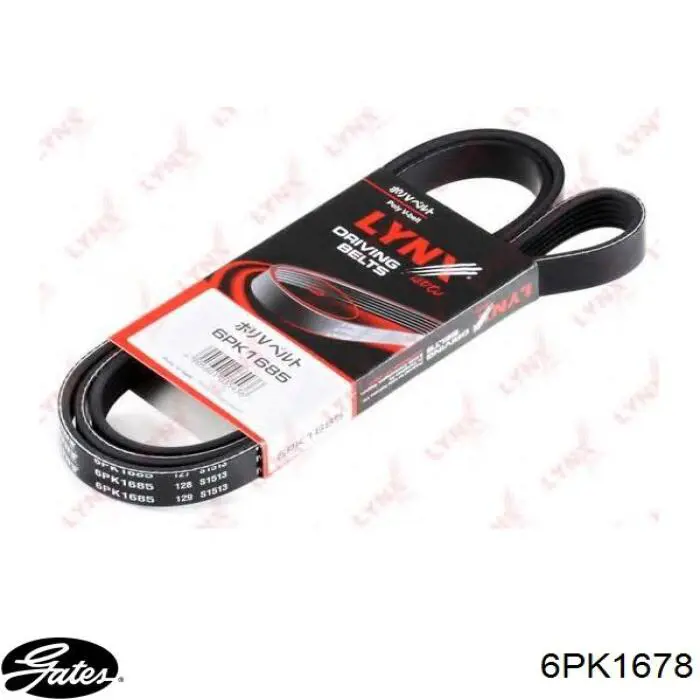 Correa de alternador 6PK1678 Gates