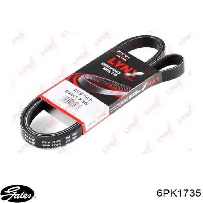 71753867 Fiat/Alfa/Lancia Correa poly v