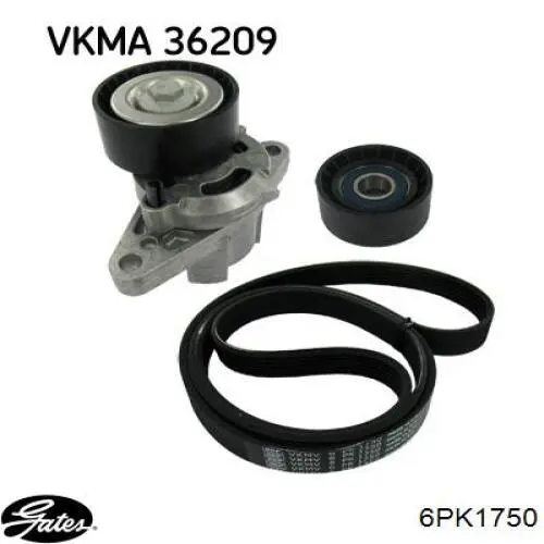 Comprar 1033500 Ford Correa trapezoidal