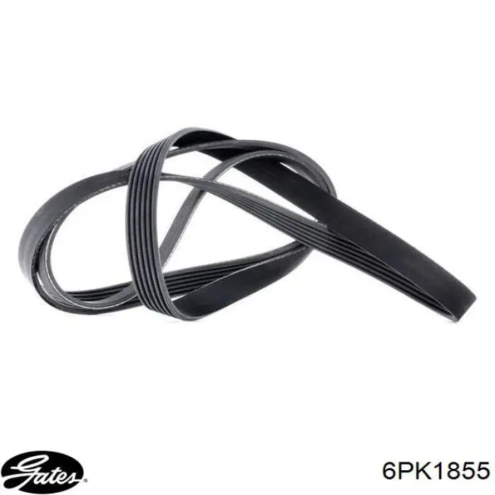 Comprar 6PK1855 Gates Correa trapezoidal