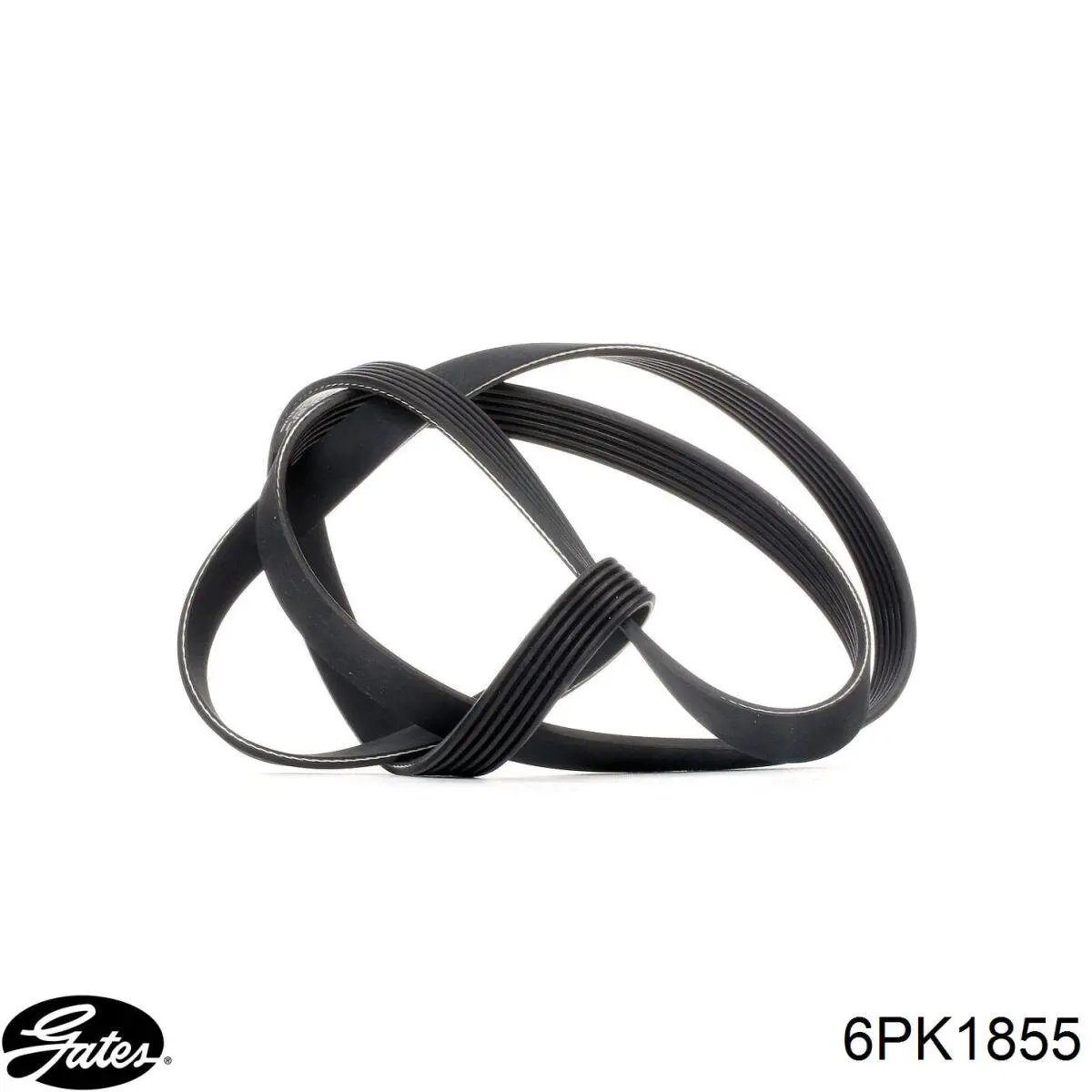 6PK1855 Gates Correa poly v