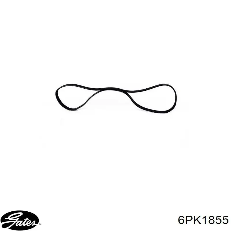 Correa accesorios Gates 6PK1855