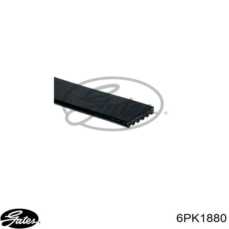 PVB188006 Open Parts Correa poly v