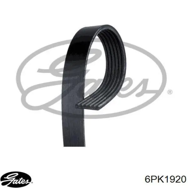 Correa de alternador 6PK1920 Gates