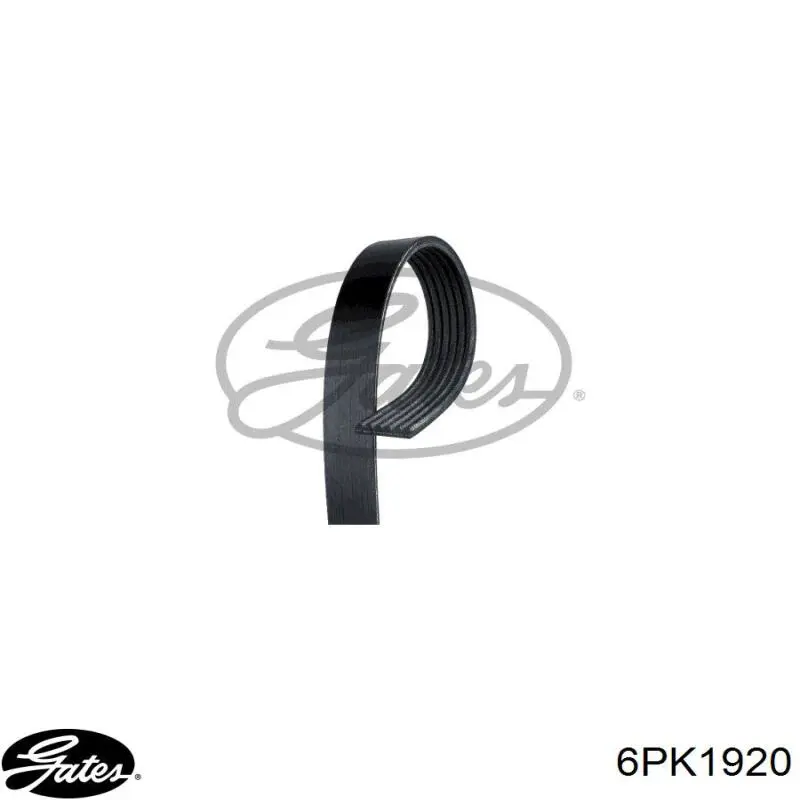 Comprar 6PK1920 Gates Correa trapezoidal