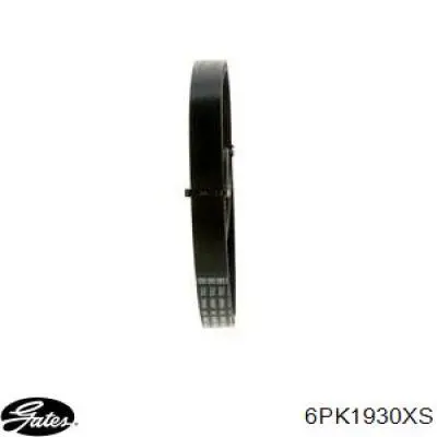 Correa accesorios Japan Parts DV6PK1930